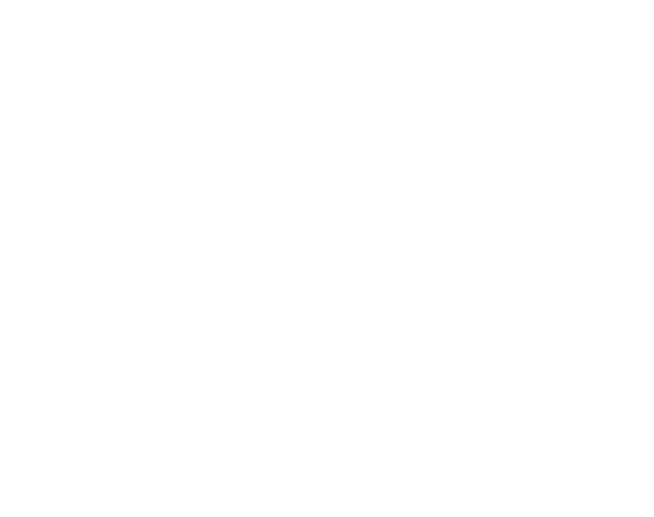 Logo_INSAvilletoulouse-blanc