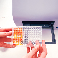 Spectrophotomètre microplaque permettant<br />
des analyses en UV, visible et fluorescence