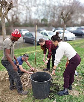 plantation Plantation